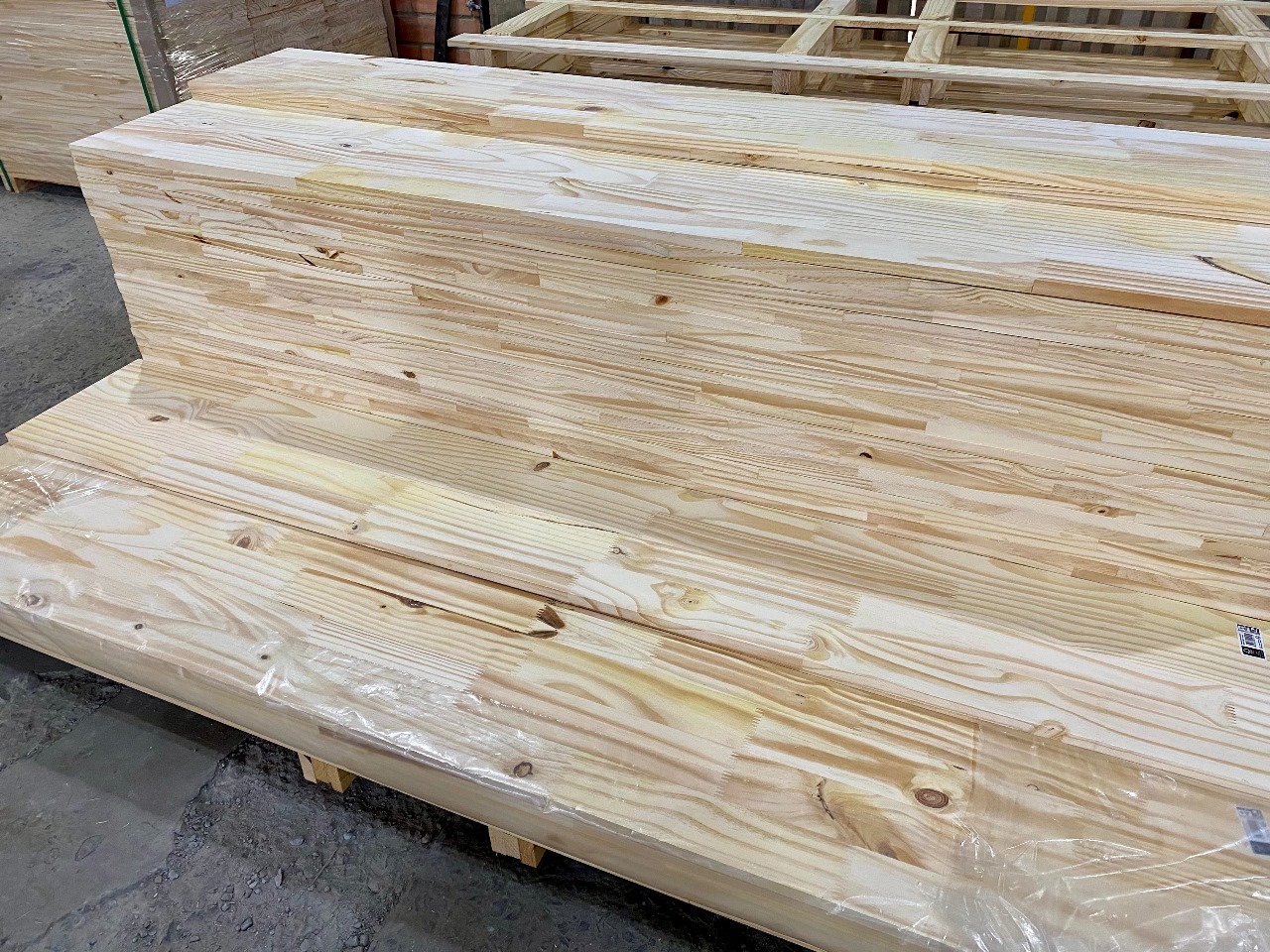 WhatsApp Image 2024-10-21 at 15.10.30.jpeg